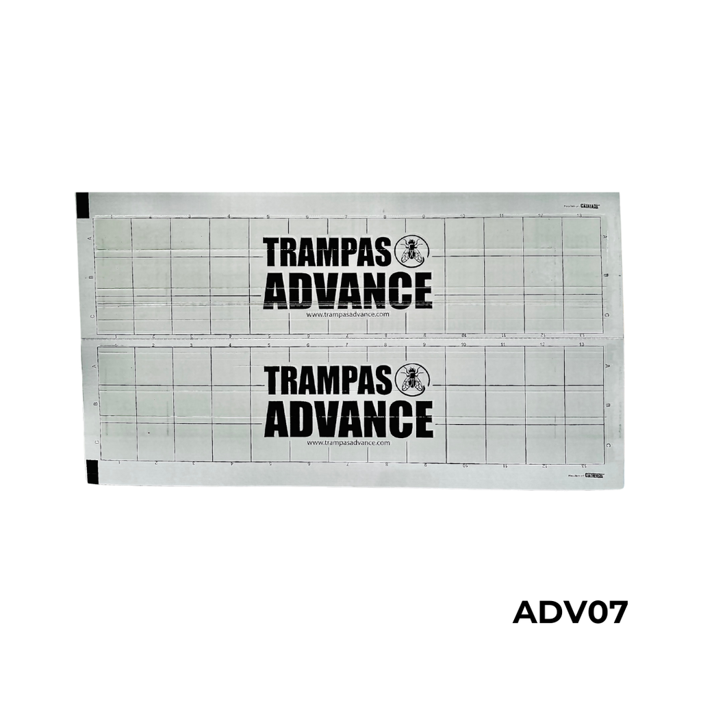 924 NEGRA DOBLE ADVANCE 23X4CM TRAMPA PEGAMENTO VOLADORES