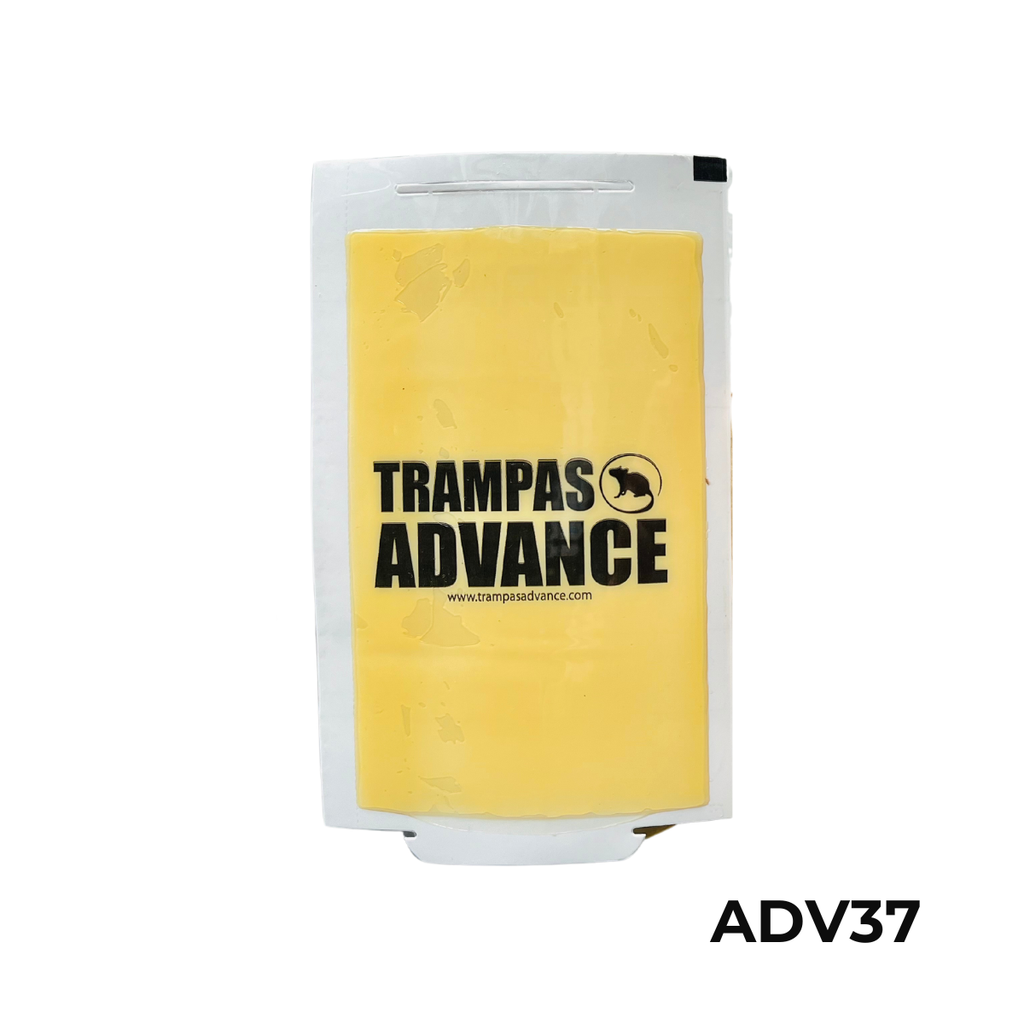 72 MAX 12GRS ADVANCE 13X20 CM TRAMPA PEGAMENTO RATON X PIEZA