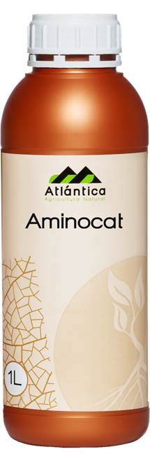 AMINOCAT Aminoacidos libres 10% + Nitrogeno total 3% 1 L