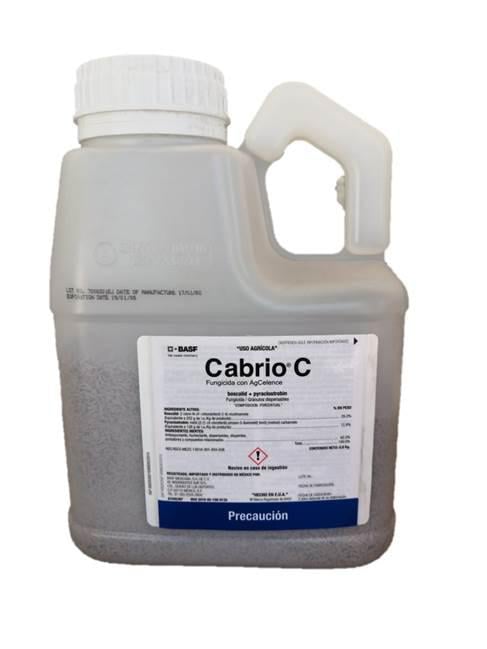 CABRIO C Boscalid 25.20% + Pycaclostrobin 12.80% 800 g