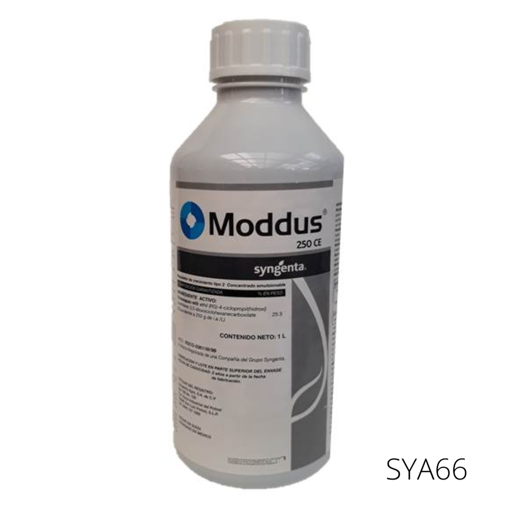 MODDUS 250 CE Trinexapac-etil 25.50% 1 L USO AGRICOLA