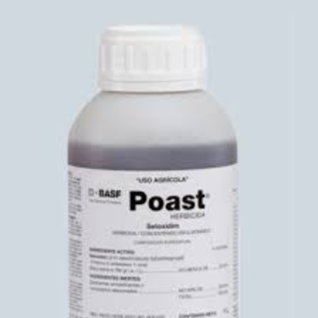 POAST Setoxidim 20% USO AGRICOLA
