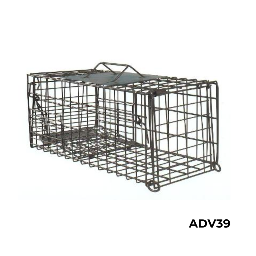 TRAMPA JR CAPTURA PEQUEÑAS ESPECIES 43*19*18CM