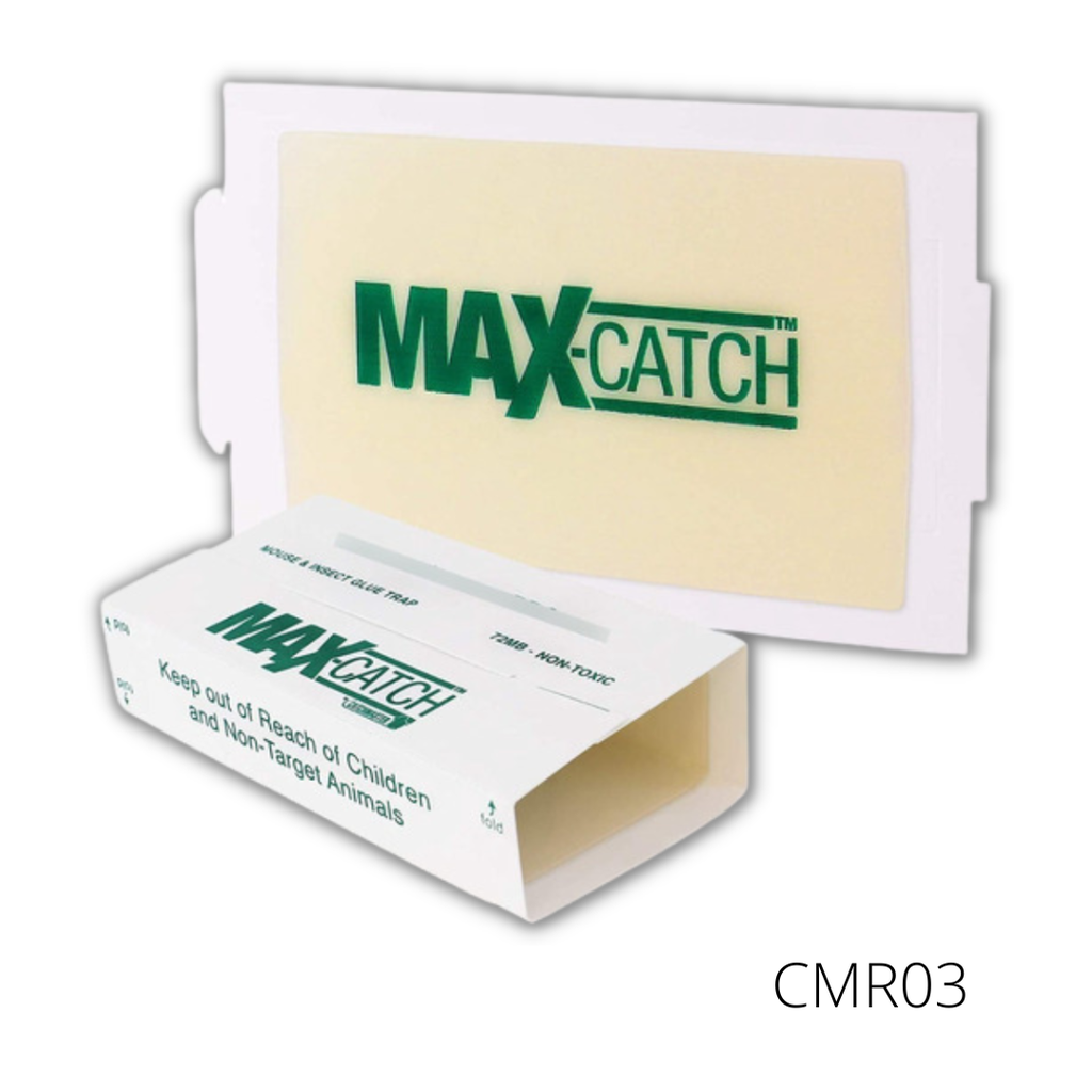 TRAMPA P/ RATÓN 72 MAX CATCH 13 X 20 CM